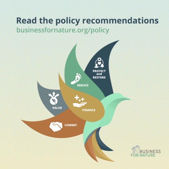 Policy Recommendations 7